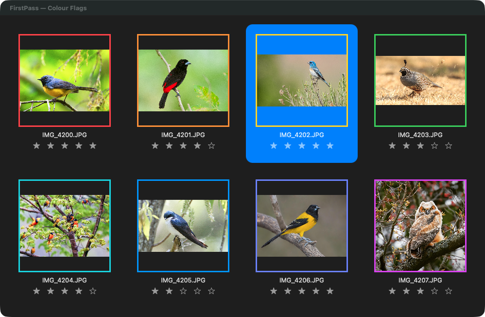 Gallery images rated and marked with colour flags