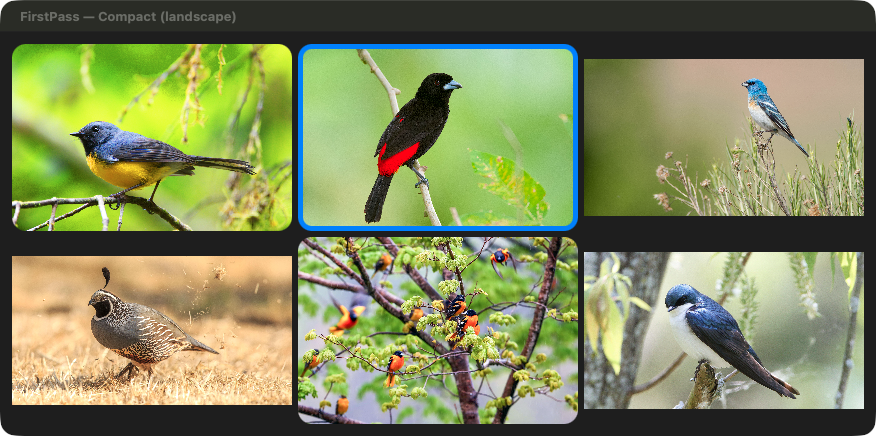 Compact image browser with all images in landscape