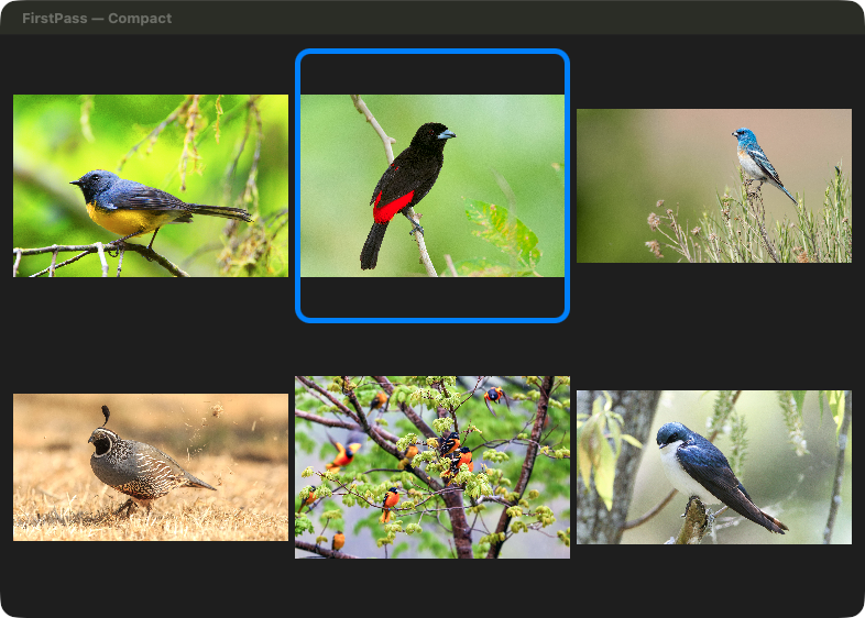 Compact image browser
