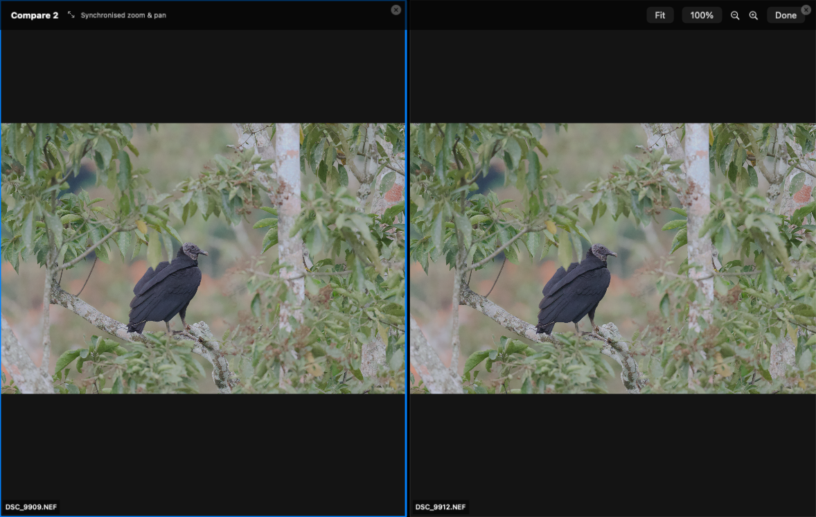 Comparing similar images with synchronised zoom and pan