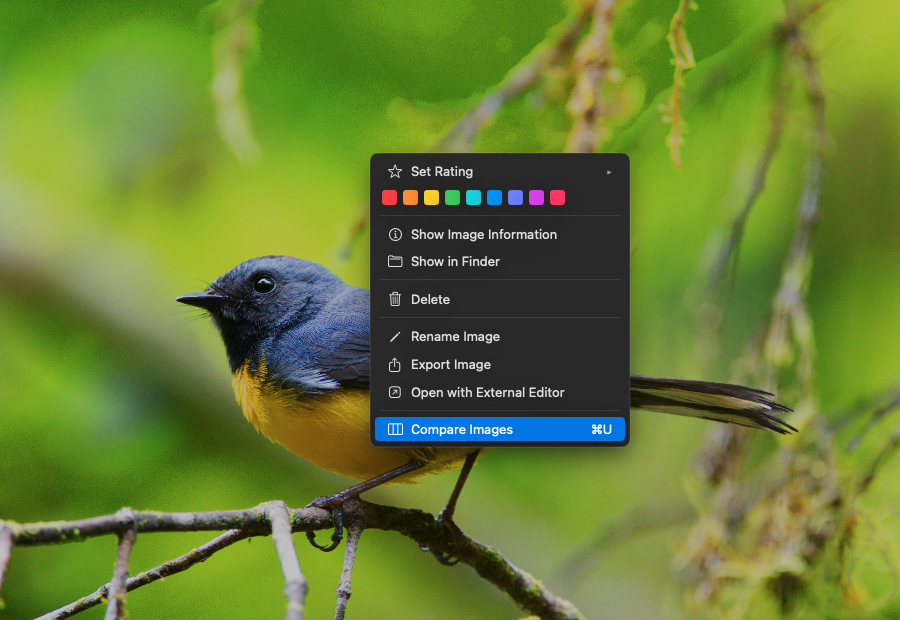 FirstPass right-click context menu