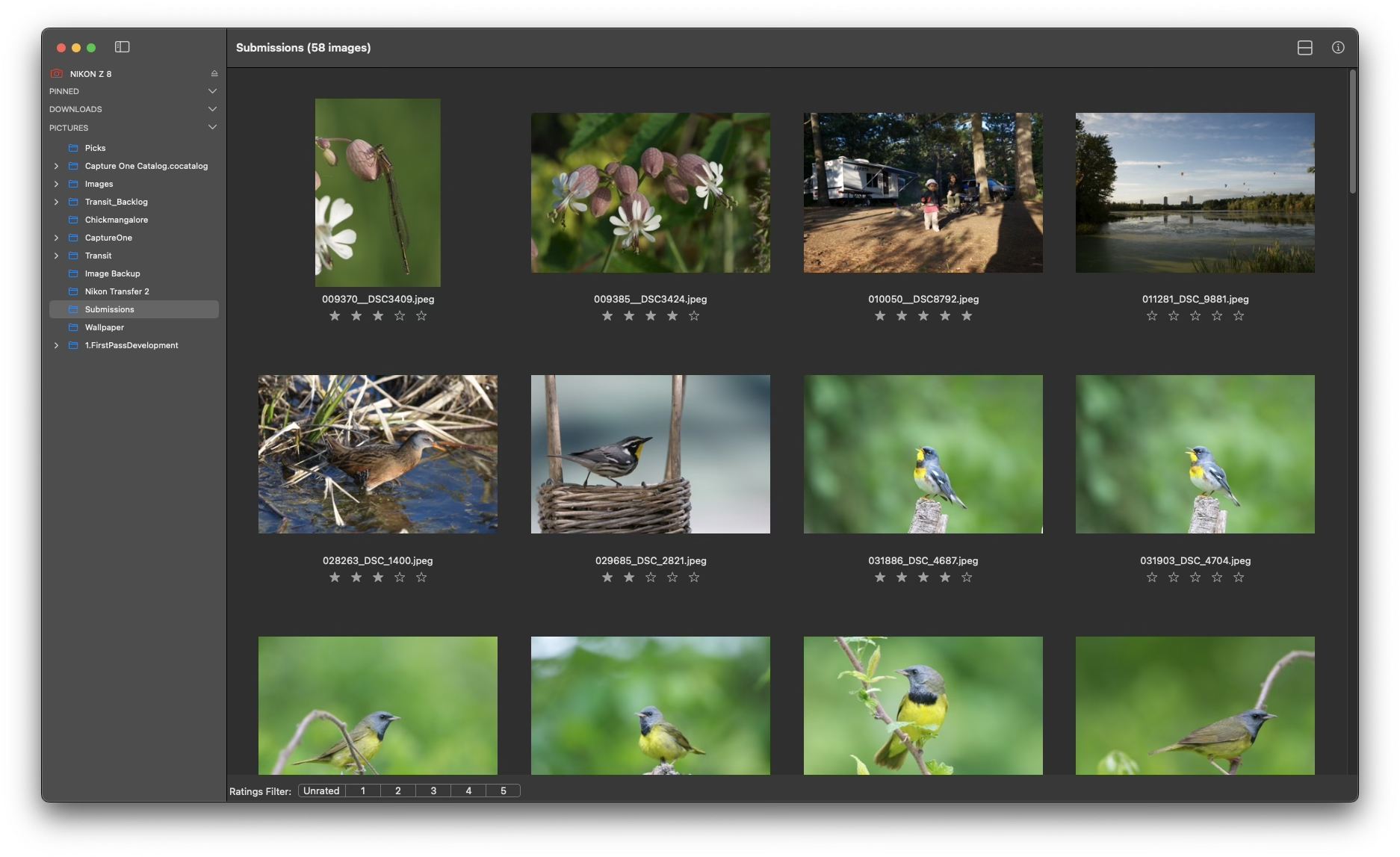 FirstPass image gallery