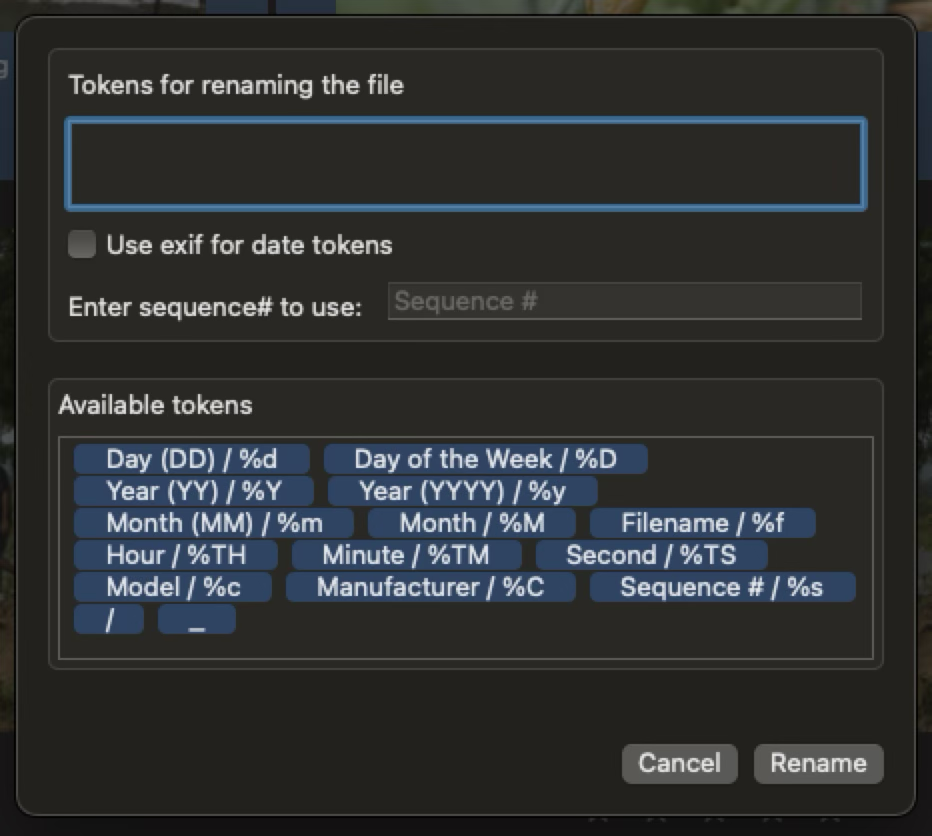 File renaming window