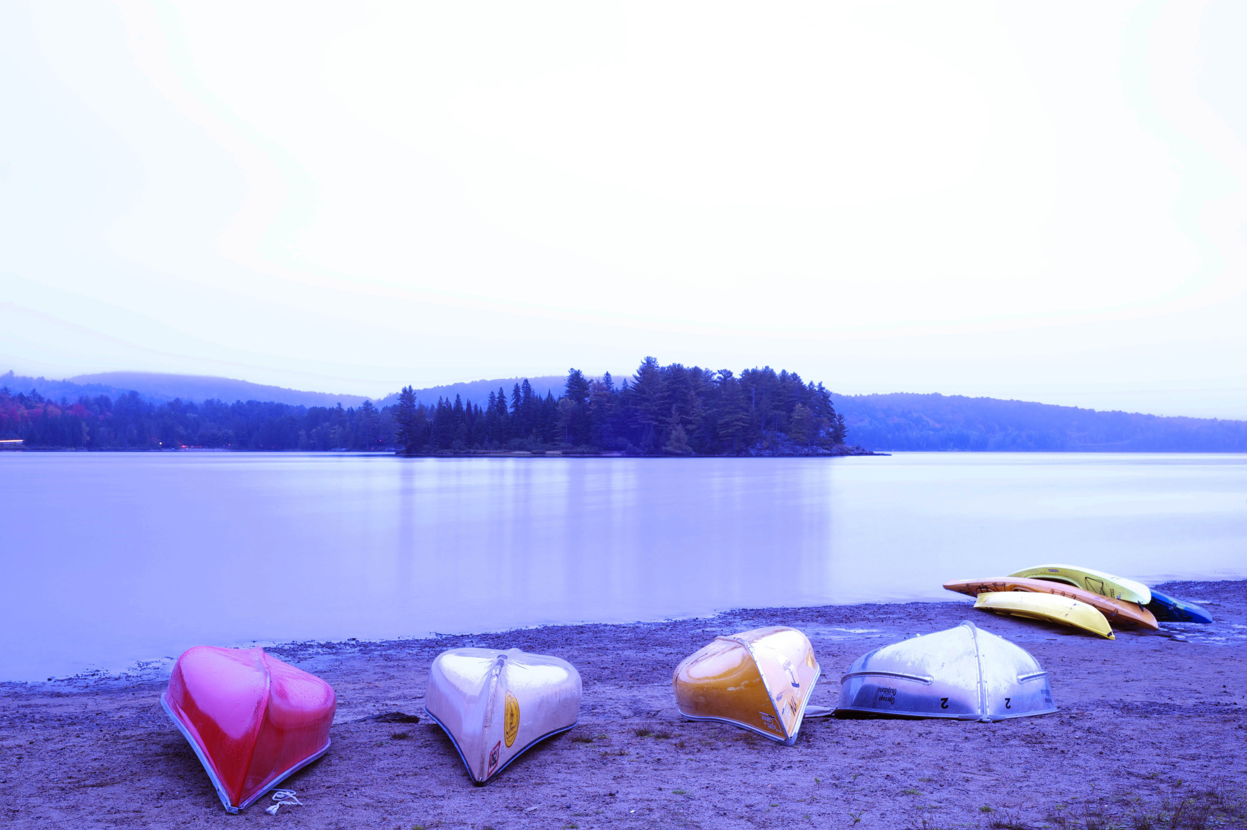 Sunrise_Algonquin_011419__DSC0022.jpeg