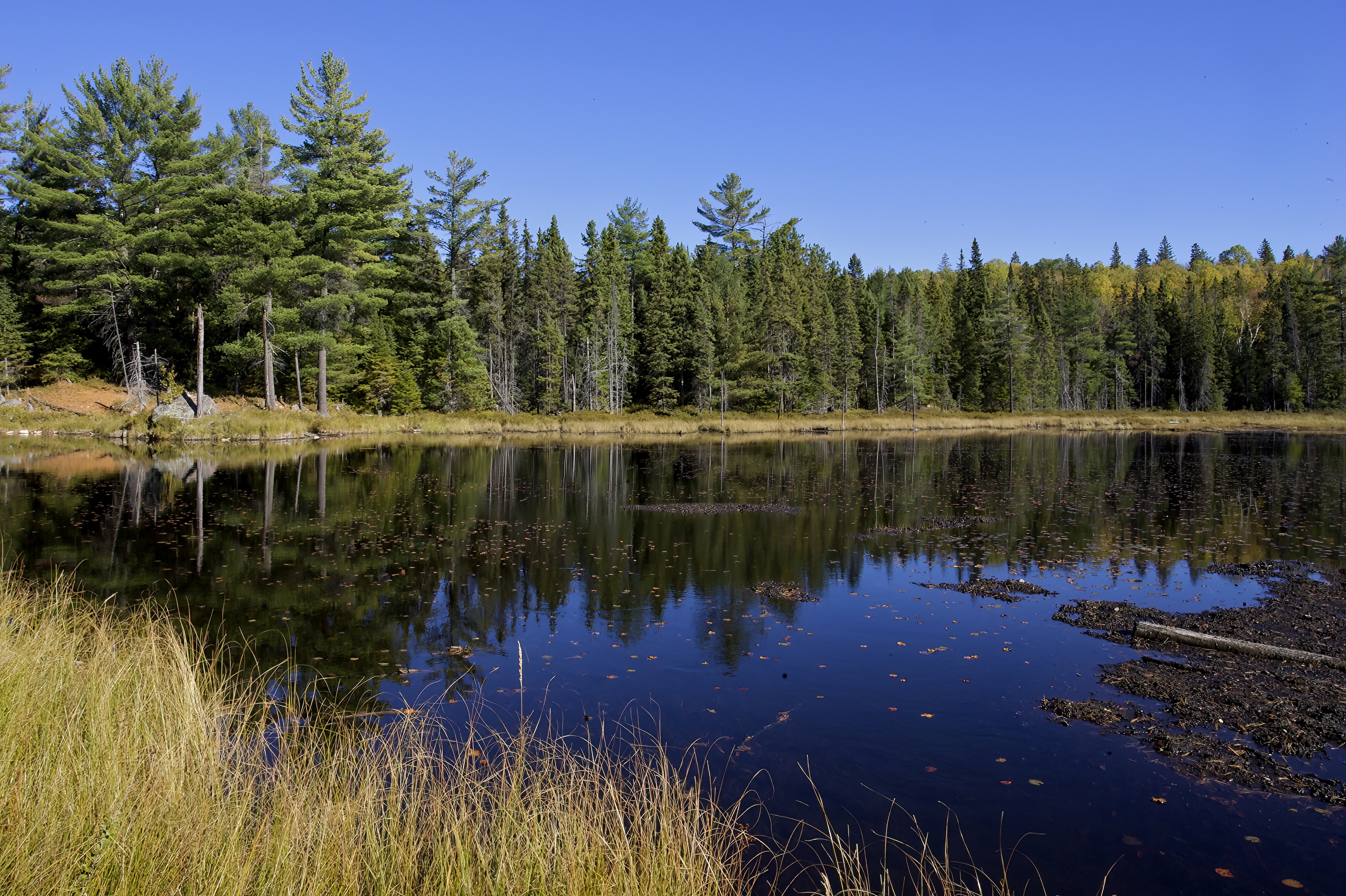 Algonquin_Bancroft_Fall_2005_10_09_1133.jpeg