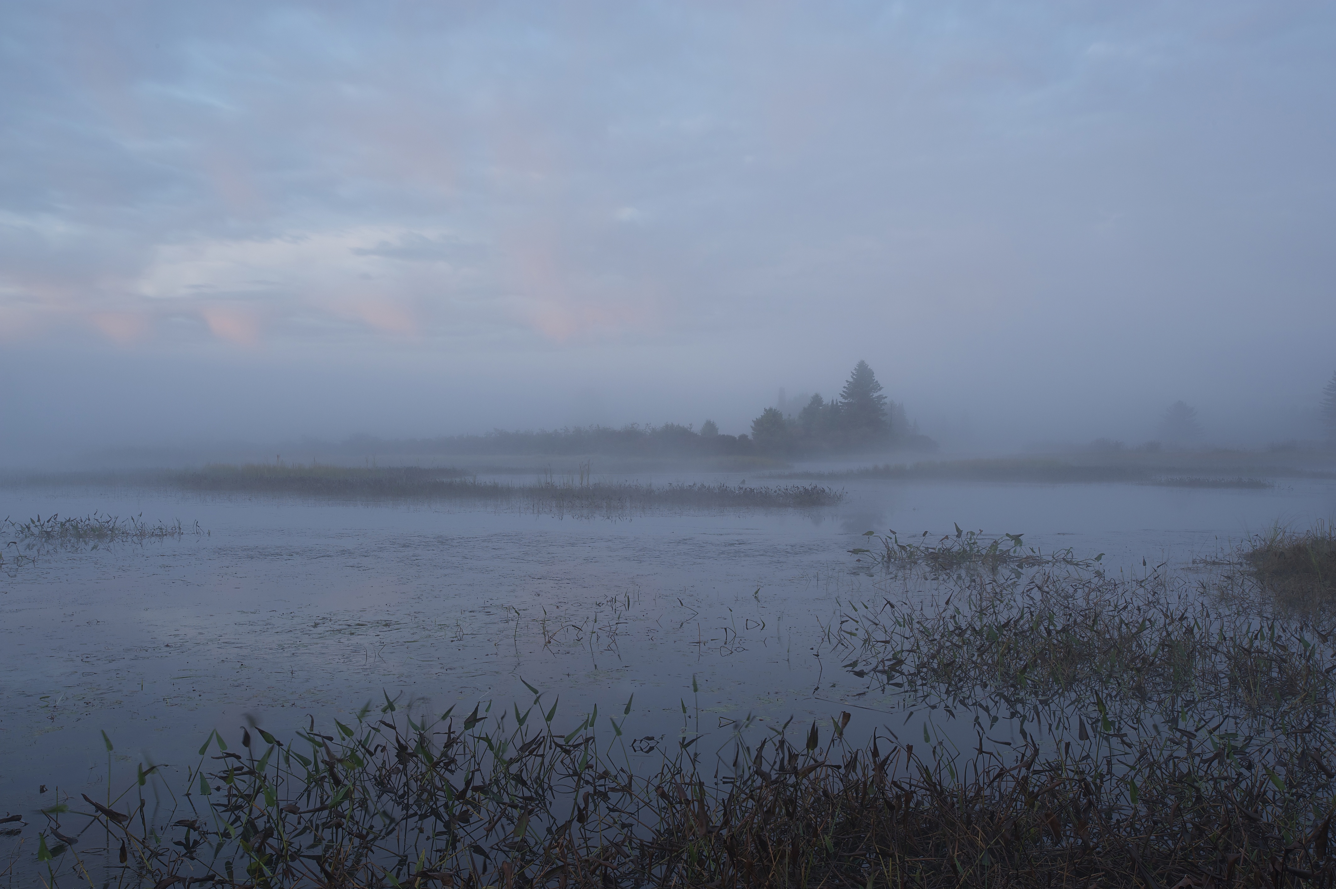 Sunrise_Fog_Algonquin_011319__DSC9919.jpeg