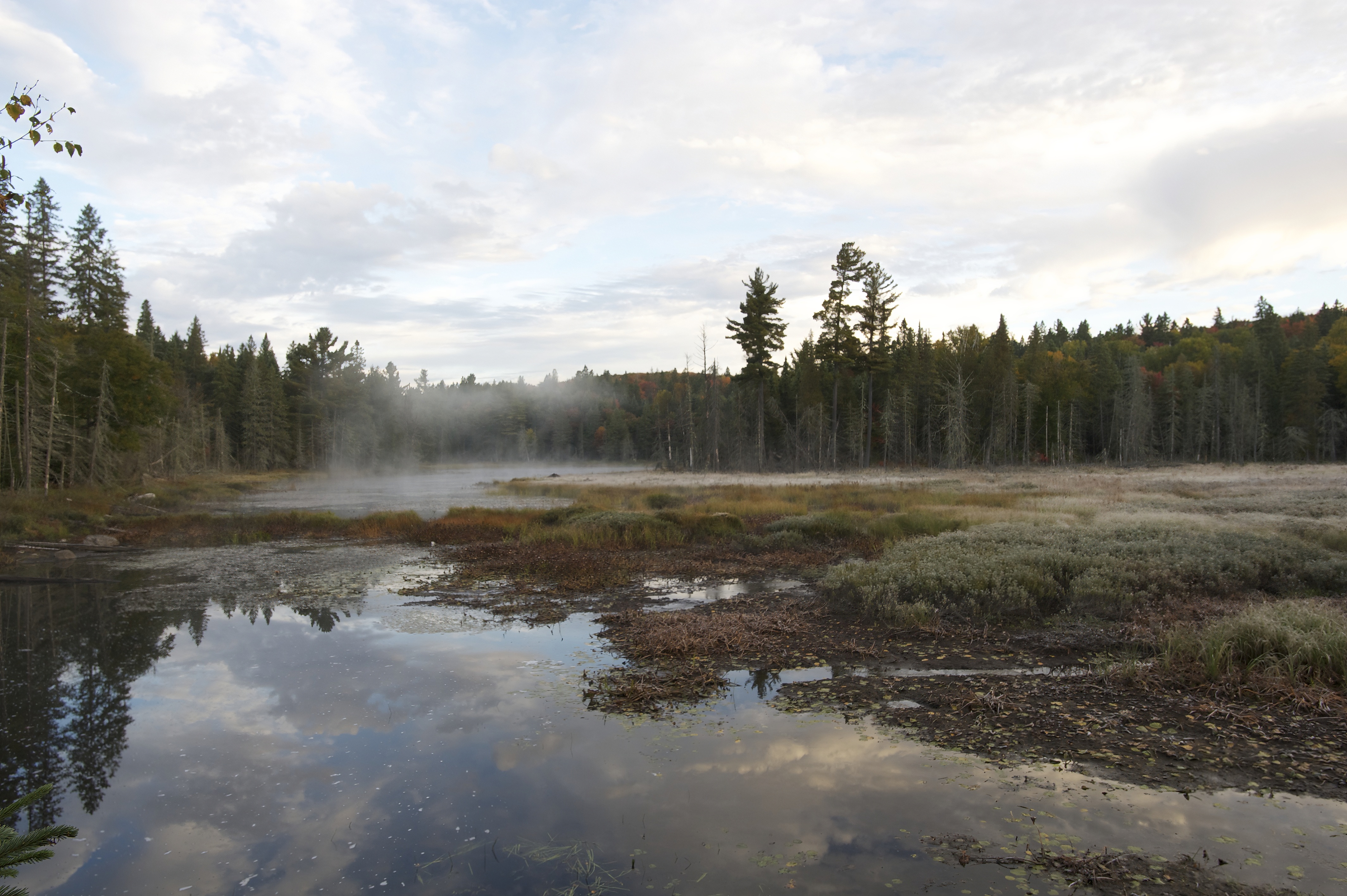 Sunrise_Fog_Algonquin_011338__DSC9938.jpeg
