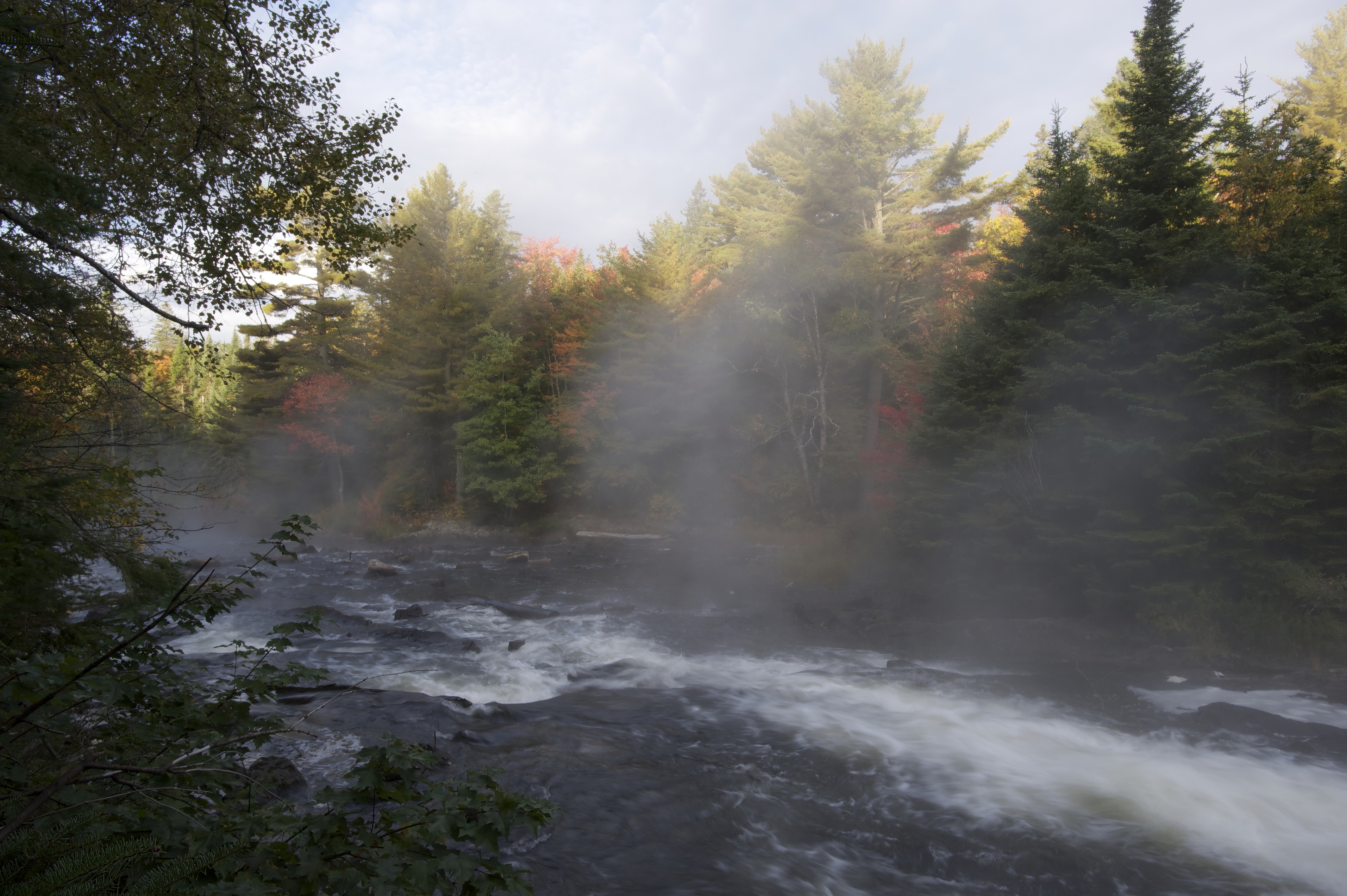 Sunrise_Fog_Algonquin_011344__DSC9944.jpeg